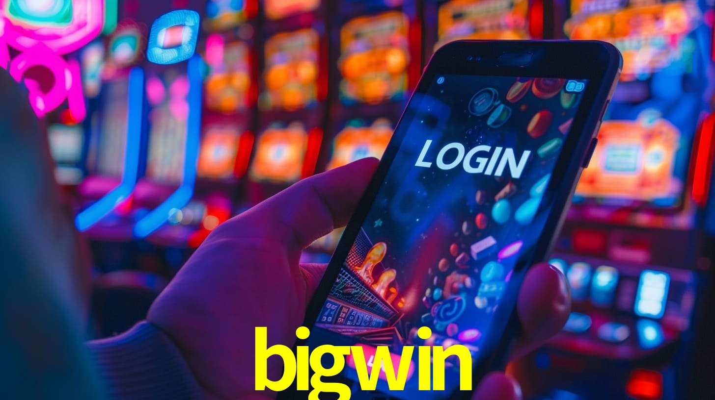 Programa VIP bigwin